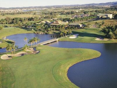 palm meadows